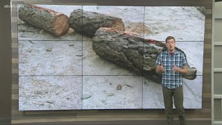 California Wildfires: PG&E employee to testify on suspected cause of Dixie Fire