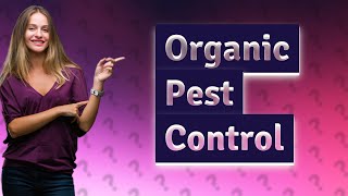 How Can I Create Organic Pest Control for My Vegetable Garden