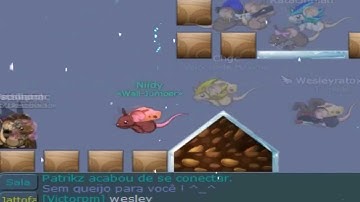 Transformice - Niidy ft. Burnouty & Deliciouzpro