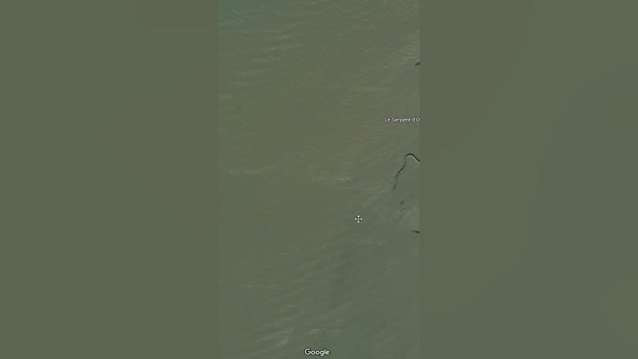 Esqueleto de cobra gigante encontrado no Google Maps agita web 