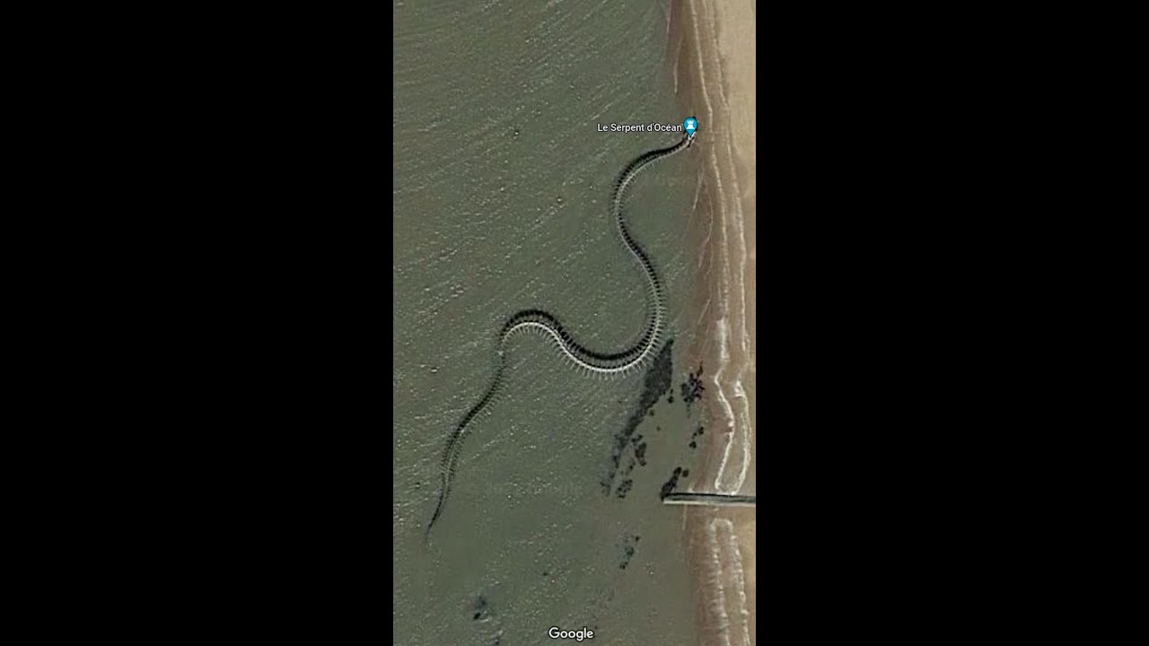 ESQUELETO DE COBRA GIGANTE ENCONTRADO. 🐍 #googleearth #foryou #google