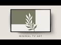 4K TV Art | Organic Modern Minimalism | Sage Green & Botanical Decor (3 Hours)