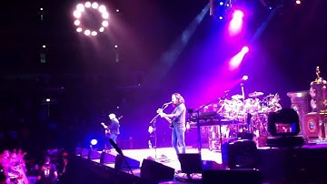 Rush-Vital Signs  Elevate from the Norm!