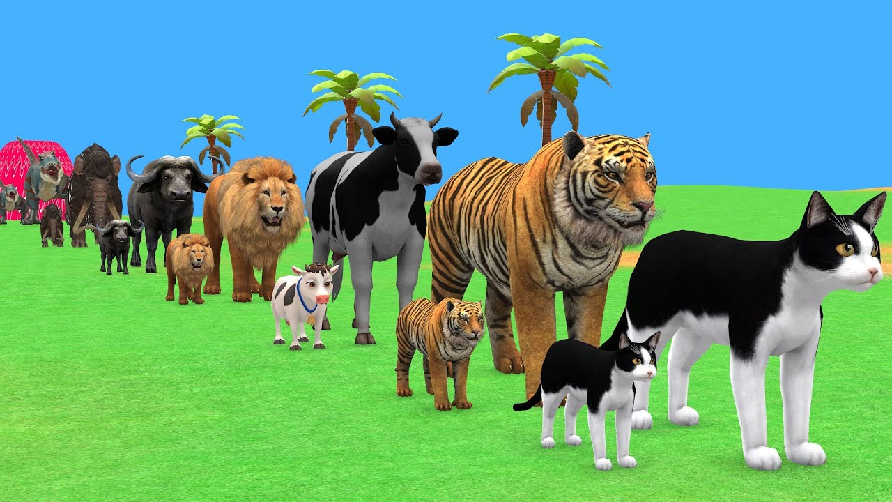 Long Slide Game with Cow Elephant Gorilla Hippopotamus Tiger 3d Animal ...