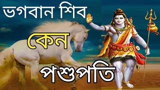 Why called pashupati Shiva. শিবকে পশুপতি বলা হয় কেন? বাঘছাল পড়ার আগে শিব কেন হাতির চামড়া পড়তেন?
