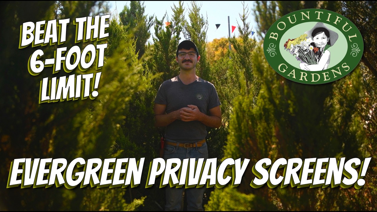🛑 Stop Them Staring! 👁️❌ Plant THIS to Block Your Neighbors 🏡🌲