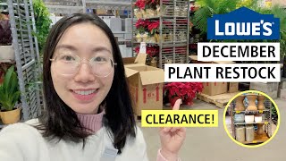 Lowe&#39;s Holiday Plant Shopping: Costa Farms Plant Price Increase | Clearance Plant Pots &amp; Stands