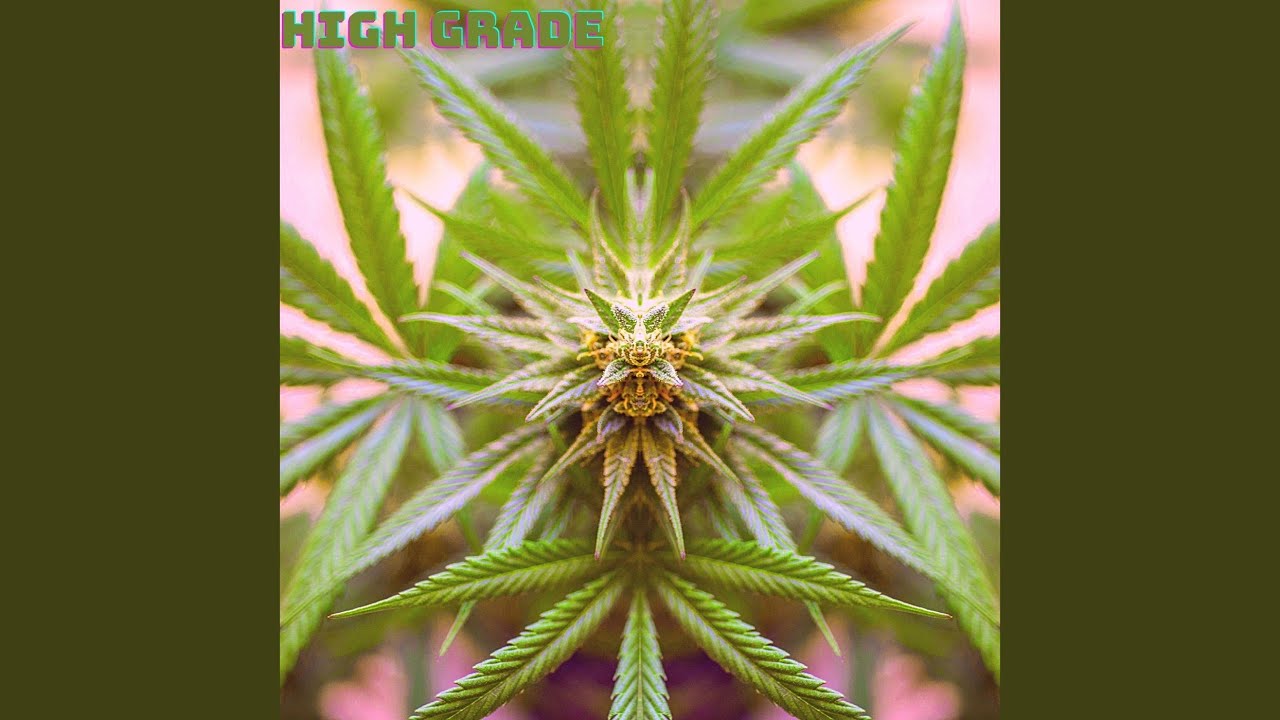 Obejrzyj High Grade Riddim (Instrumental) w YouTube Obejrzyj High Grade Riddim (Instrumental) w YouTube