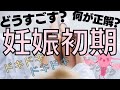 【妊活】妊娠初期の過ごし方　ーみんなの悩みにお答えします！！ー【妊娠】