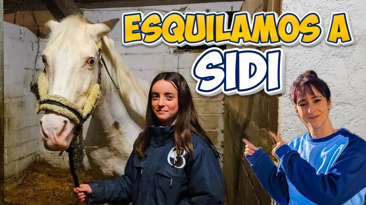 Aldara esquila a Sidi 🐴 y le graba una amiga de la Hipica ##mundoaldara #equestrian