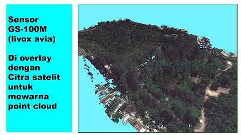 Exploring 3D Forestry Point Clouds | GS-100M UAV LiDAR Mapping Showcase