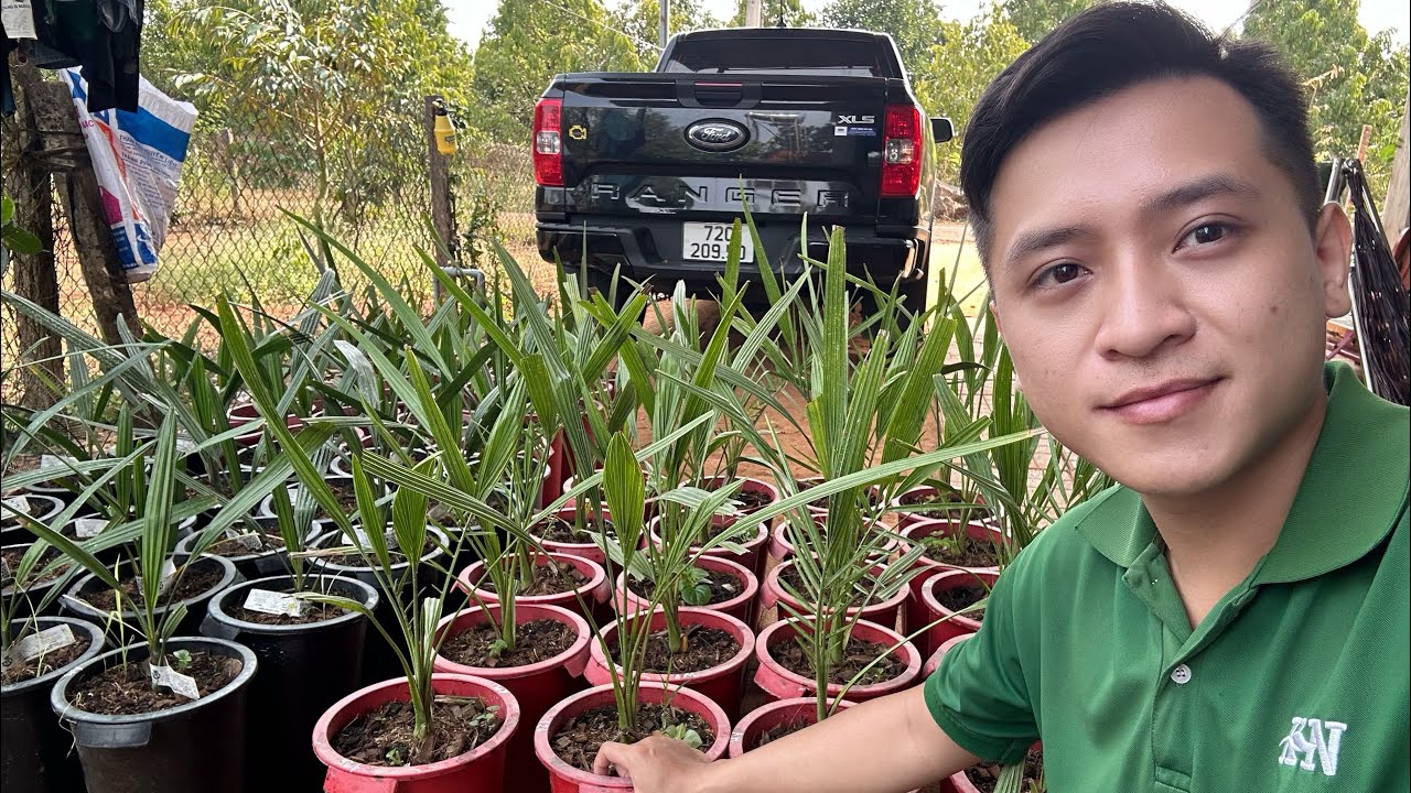 Khai Xuân Bàn Giao Chà Là Mùng 8 Tết Cho Khách