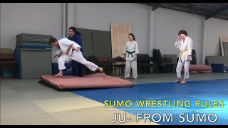 SUMO Wrestling for JUDOKA, girl-power vs strong teenage male.