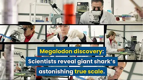 Megalodon discovery: Scientists revealed giant shark's  astonishing true scale