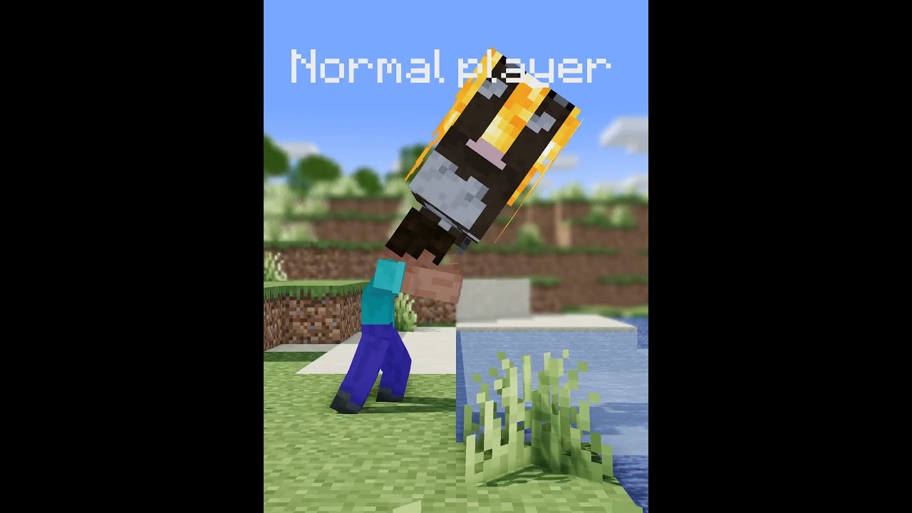 Minecraft Normal player VS Psycopath