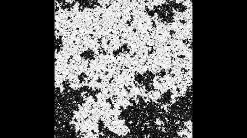 Zoom of a 2D Ising model at the critical temperature