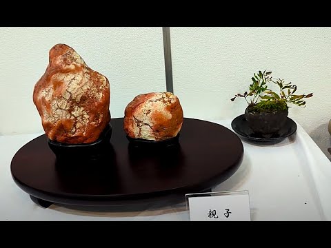 土岐石　銘幻境　水石　盆石　鑑賞石 土岐石 銘幻境 水石 盆石 鑑賞石