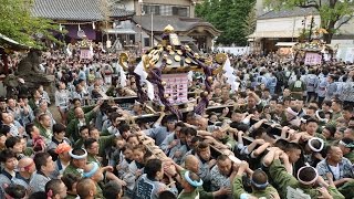 浅草・三社祭「宮出し」 平成28年度 浅草神社例大祭 - YouTube