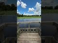 Pier Fishing for Bass at Brazos Bend State Park, TX