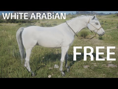 ホワイト・アラブの探し方と手懐け方（Noob Tube）