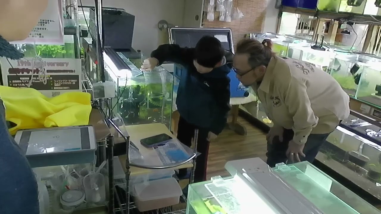 【19周年祭4日目の様子パート３kids編】＃周年祭＃19周年祭＃ローキーズ札幌＃kidsチャレンジ