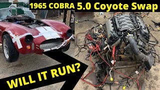1965 Cobra Coyote Swap First Start Fire Damage from Copart
