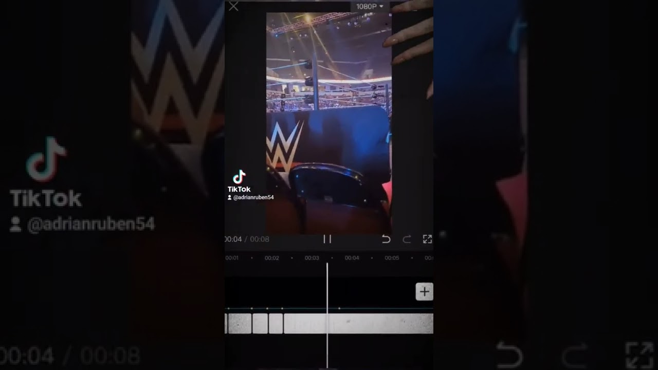 i went to wwe main event 