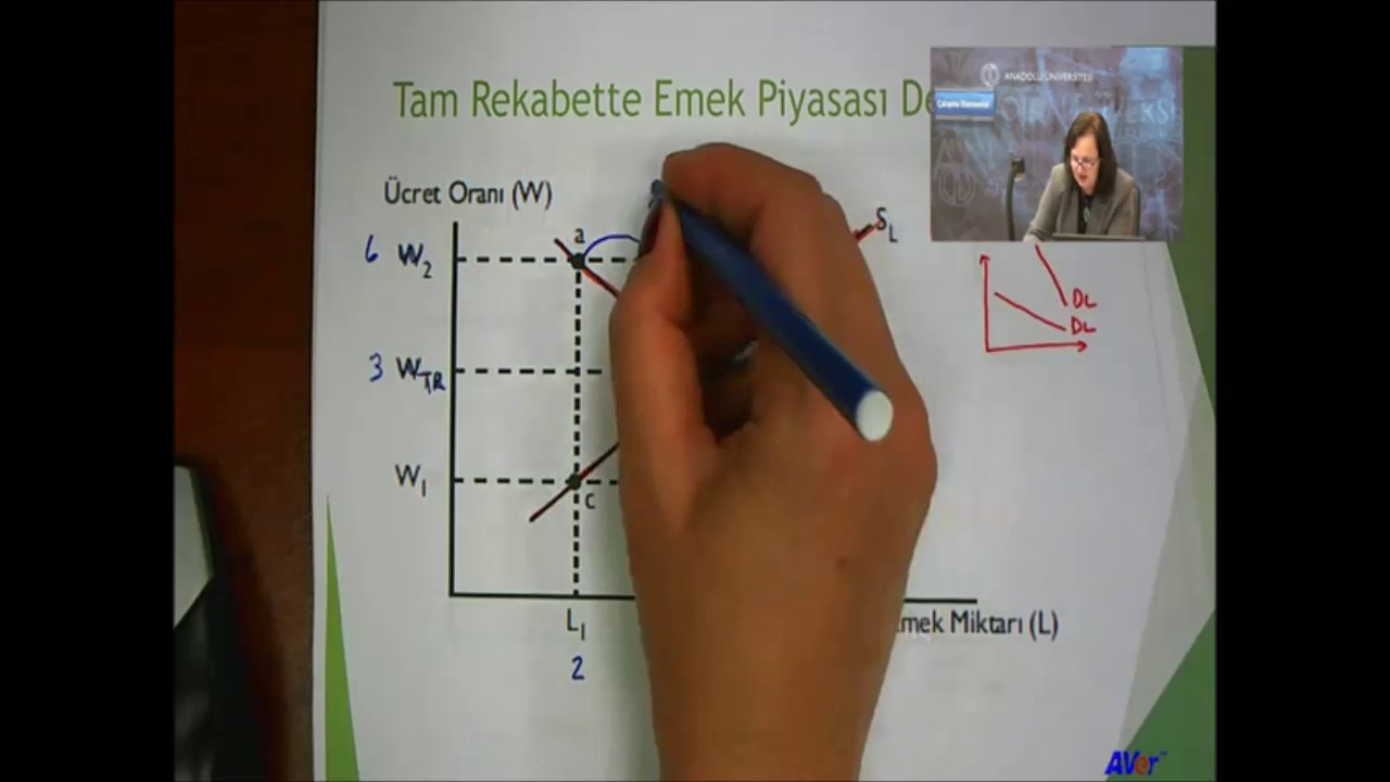 Çalışma Ekonomisi (4. ünite)
