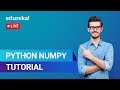 Master NumPy in Python: Essential Tutorial for Data Science 🚀