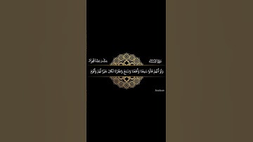ما تيسر من سورة النساء || القارئ منذر عبدالجواد || قرآن كريم