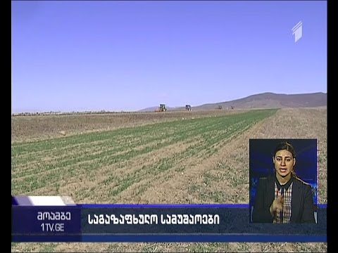 შიდა ქართლში ე.წ. გამყოფი ხაზის მიმდებარე სოფლებში ხვნის სამუშაოები მიმდინარეობს