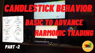 Mastering Harmonic Patterns Series Part 2 | Candlestick Behavior Analysis |VIRAL TRADES