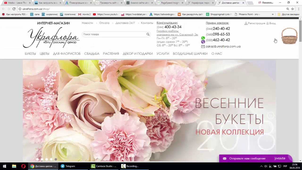 Seo Анализ Сайта #2 - Сайт импортер цветов и растений в Украине