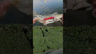 Something took a bite out of this BASS 👀