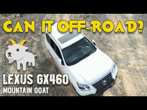 A Mountain Goat