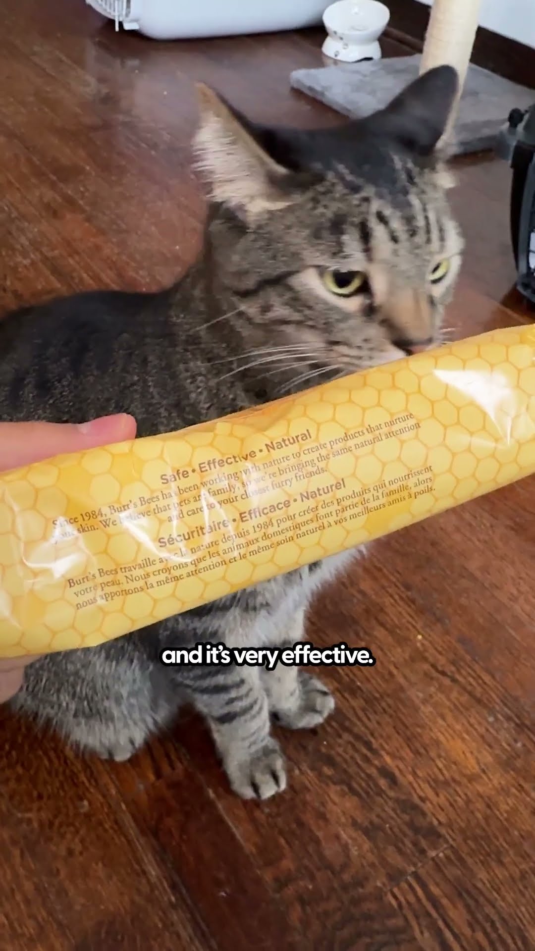 This One Trick Saved Me Against Cat Allergies! | The Pack