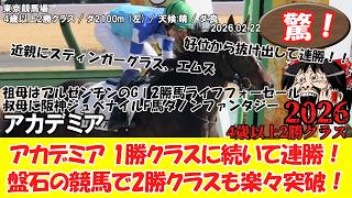競馬】 驚き！4歳以上2勝クラス (2026.2.22・東京7R) 2026