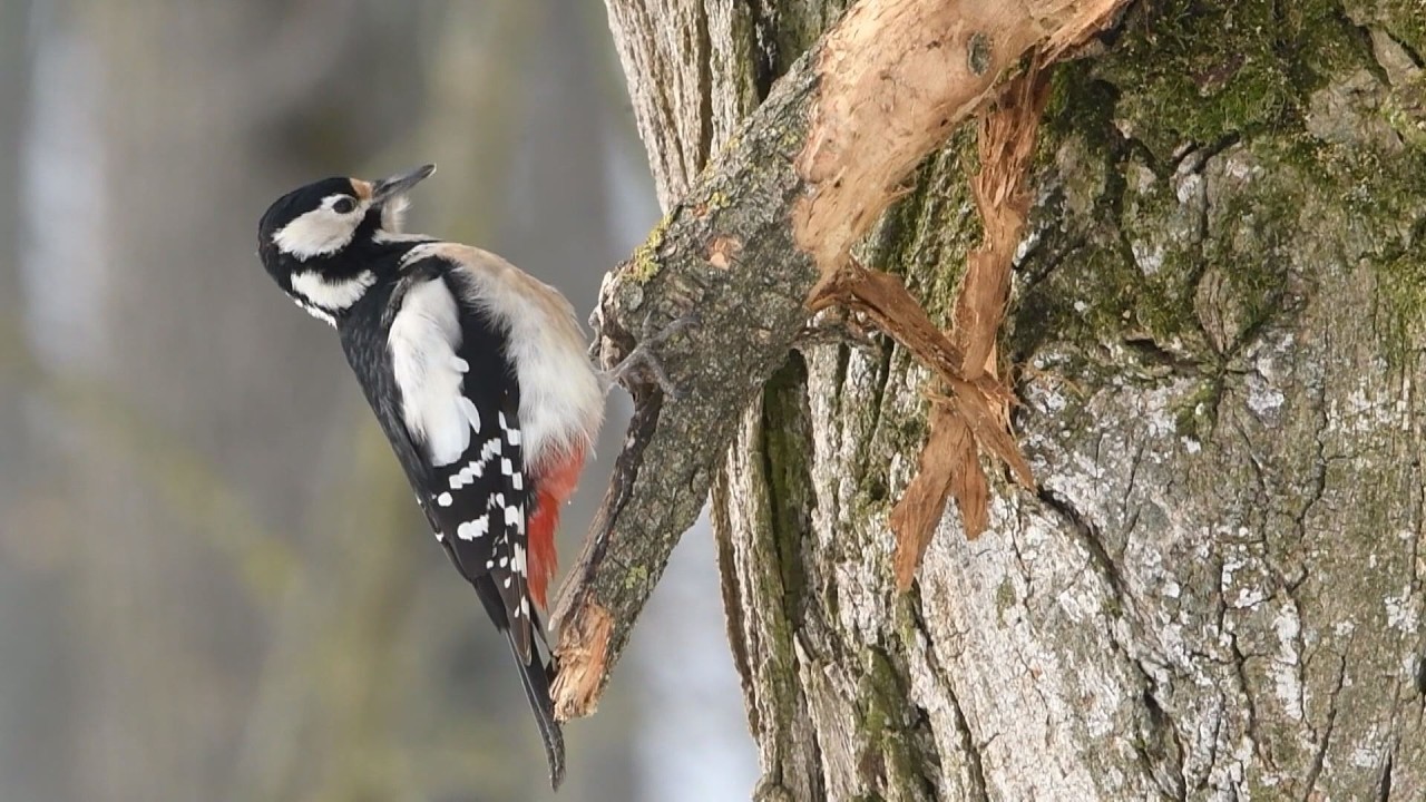 M5 TV – Erdei utakon – 2026/7. adás – 2026.02.15.