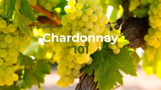 Chardonnay 101, from grape to Wine