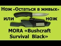 Нож выживания «Остаться в живых» от Экспедиции и MORA Bushcraft Survival Black
