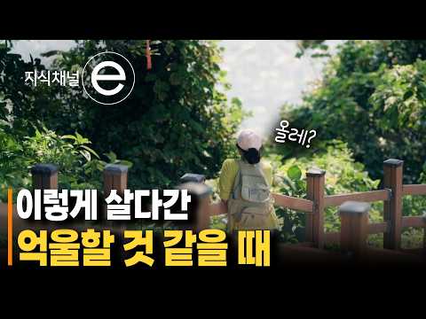 서두르지 않아도 괜찮다, 천천히 '꼬닥꼬닥' | 누군가에겐 구원이었던 제주 올레 | #지식채널e