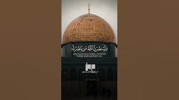 أجمل تلاوة عذبة 💜☁️ #ياسر_الدوسري #فلسطين #غزة #تلاوة_خاشعة #quran #تيك_توك
