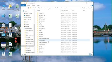 C Drive One note Clean up