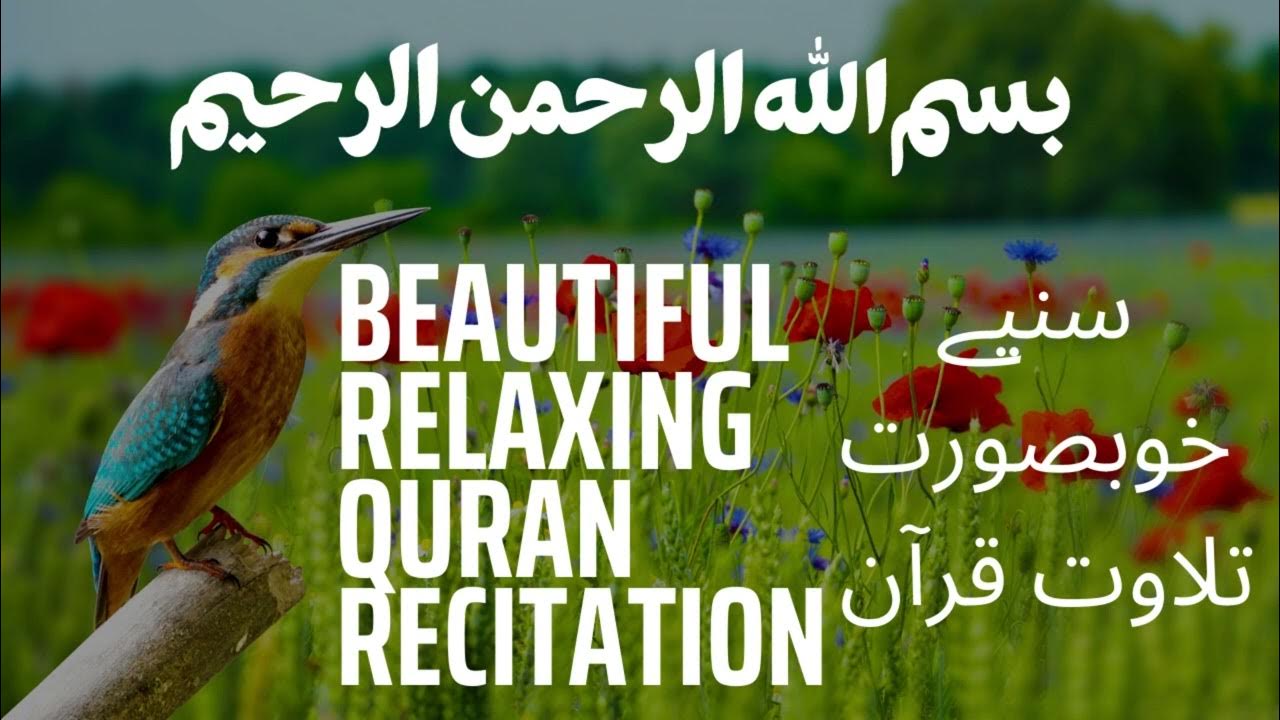 The Holy Qur an Recitation Quran Majeed Tilawat Quran Pak Audio the-holy-qur-an-recitation-quran-majeed-tilawat-quran-pak-audio