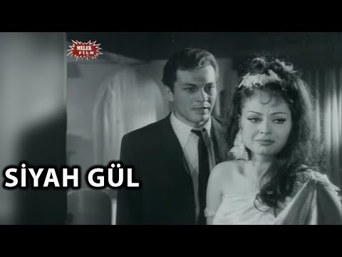 Siyah Gül (1966) - Türkan Şoray & Kartal Tibet - Tek Parça İzle