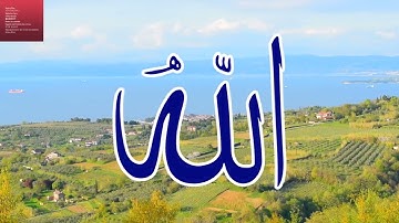 تلاوة ممتعة لسورة المجادلة بصوت الشيخ ياسر سلامة