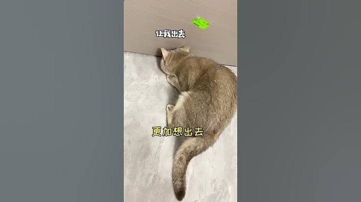 【鈍鈍劇場】女孩子一定要保護好自己哦😨