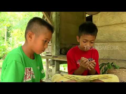 ผลสลากกินแบ่งรัฐบาล วันที่ 1 พย. 2567