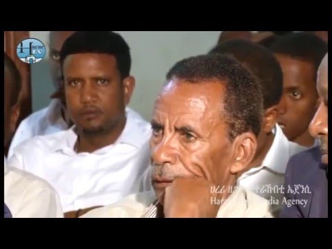 Talk show - ሀረሪ ሌስ ፈንኒ