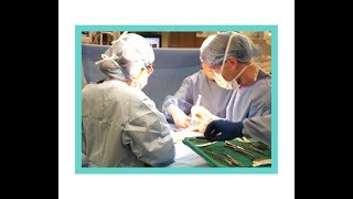 Anne Peled, Md How To Choose Your Breast Surgeon